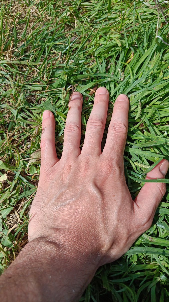 <a href="/pogdotearth/">Proof of Grass | POG.EARTH (草, 草)</a> day 2 don't forget to stop coding (for a few seconds, once a day) get outside and touch grass 🌿