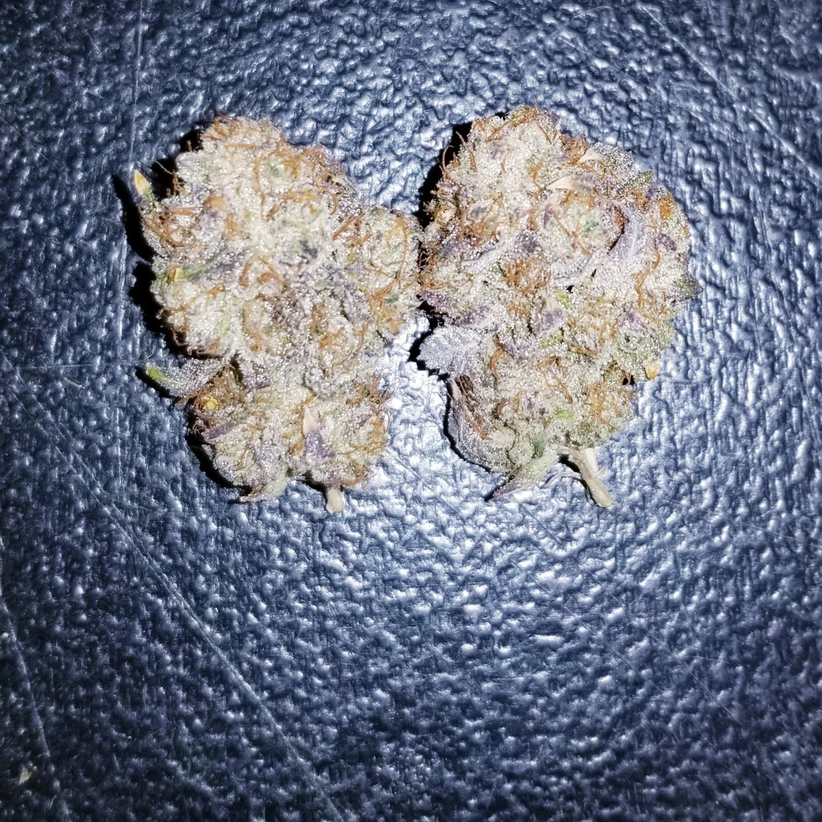 Cvltivation420's tweet photo. Topanga wedding 👈 👉8 inch bagel. Both be @ClvbPatio in a few weeks! 👀🤩🤤🔥🔥 #WeedLovers #omma #indica  #OKC #okc420 #420Life #DANK #cannabisculture https://t.co/Y9JNLlAhV2