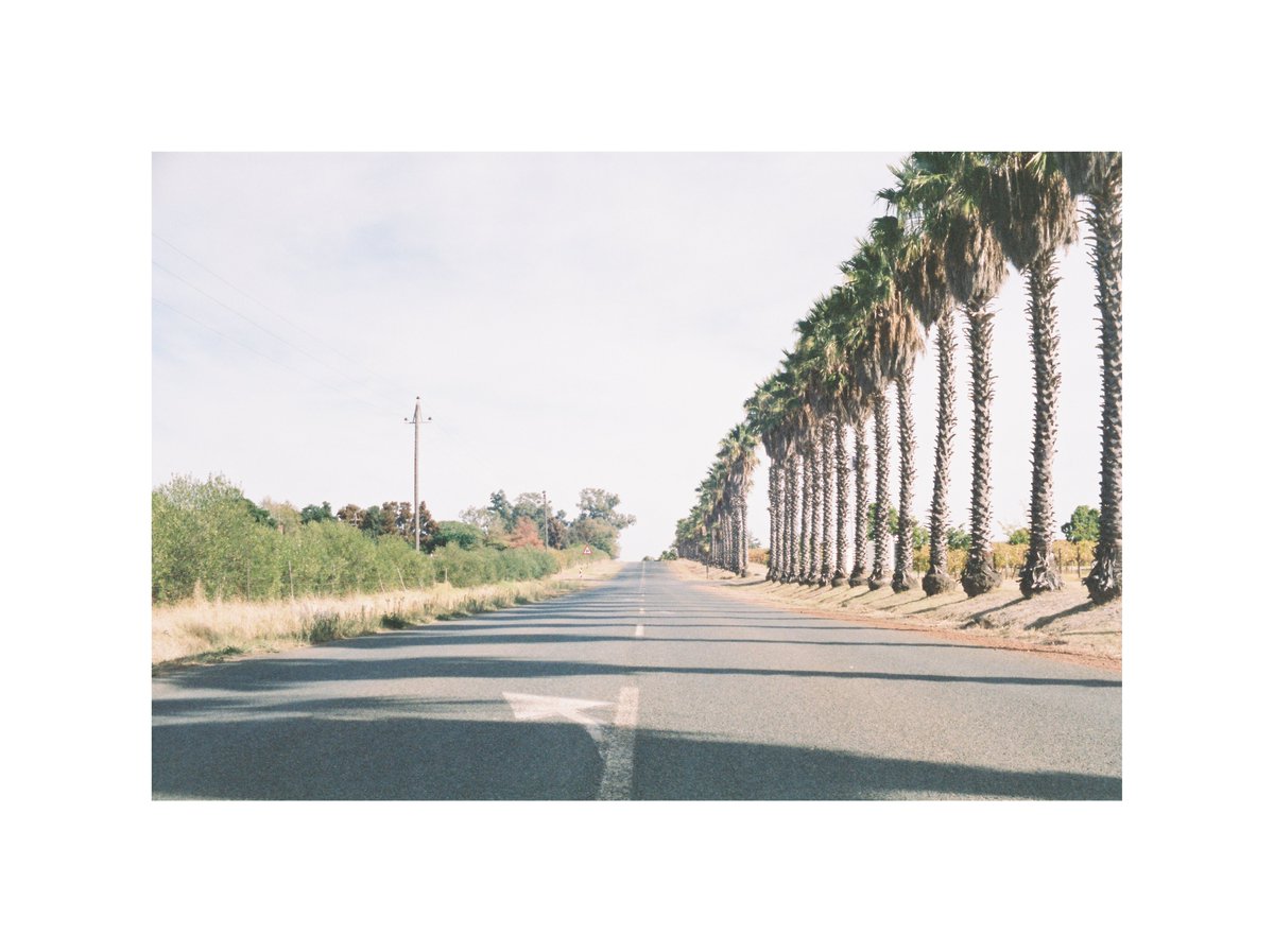 Boredlikehell's tweet photo. Zeiss Ikon Contessamat (35mm rangefinder)
Zeiss Color-Panter 1:2,8/45 Lens
Kodak Portra 400 (Overexposed 2 stops)

#35mm #analogphotography #analogisdifferent #analogforever #vintagecamera #nofilter #kodakportra400
#kodakfilm #zeissphotography #zeiss #zeissikon https://t.co/b2T8GBTzWU