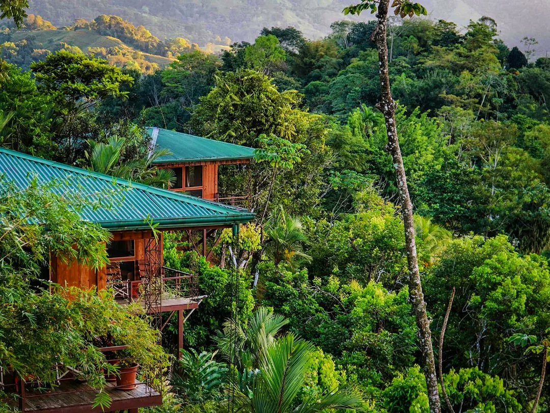 SlowCostaRica's tweet photo. Aujourd'hui, nous vous presentons un lodge exceptionnel pour sa localisation et son confort, @santajuanalodge

https://t.co/Ypz8elni99 

 #costarica 
 #nature #ocean #travel #jungle #voyage #puravida #vacances #ocean #soleil #hotel #lodge #slowtourisme #tourismerural #campagne https://t.co/6hTZzF2OT9