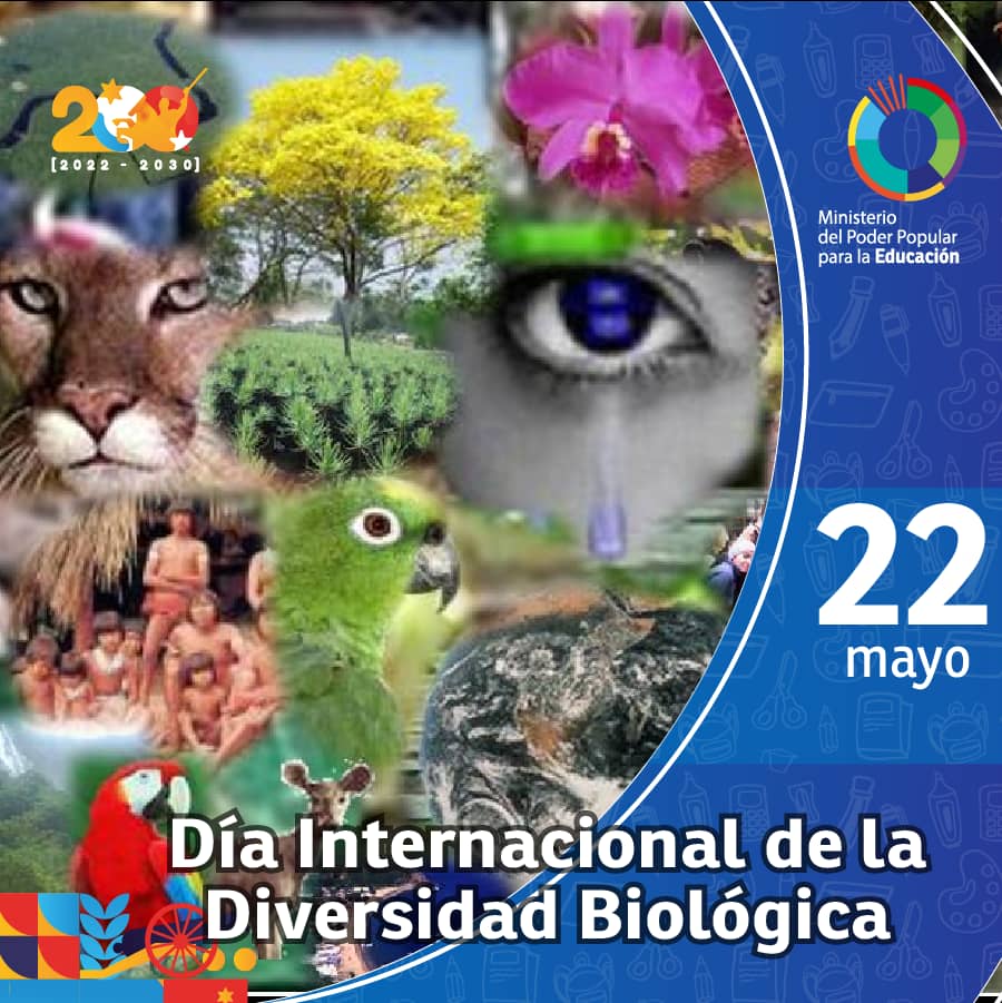 #EFEMÉRIDE | Cada #22May se celebra el Día Internacional de la Diversidad Biológica, Venezuela cuenta con gran variedad de animales, plantas y ecosistema, además de crear conciencia sobre el cuidado de la naturaleza. <a href="/NicolasMaduro/">Nicolás Maduro</a> <a href="/_LaAvanzadora/">Yelitze Santaella</a> 

#DenunciaPorVenApp
