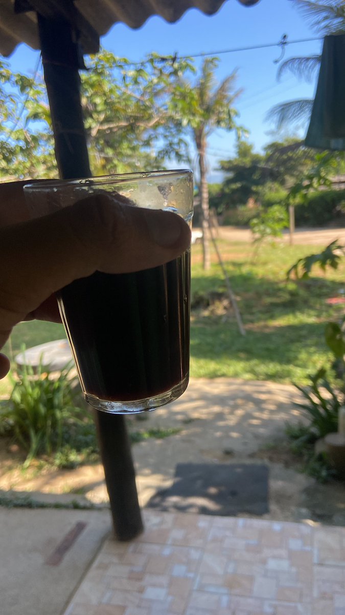 Amanheci na roça 🔛🤠🕊