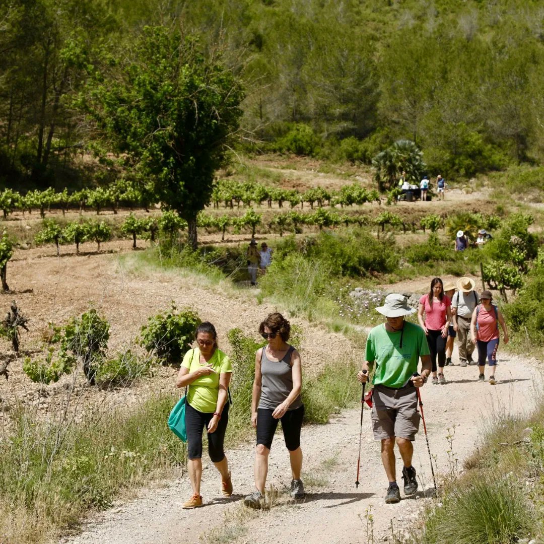 VisitaAvinyonet's tweet photo. I aquest matí 50 valentes i valents han desafiat la calor per poder gaudir d'aquest #massisdelgarraf que tenim a tocar amb la caminada #Naturvi de #Microvi2022
@penedesturisme @bcnmoltmes @catalunyaexperience
#Penedesexperience #Penedesturisme #Origendelavinya https://t.co/9xivNUdtkb