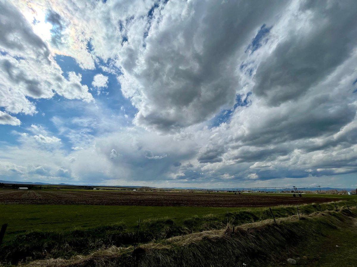 JasonKechely's tweet photo. Beauty on the edge of town...
Blink twice and wait a week and this will likely be a sprawling new subdivision. #BozemanMT
#CottonwoodRd #SpringSkies https://t.co/rdUwaSEQzX