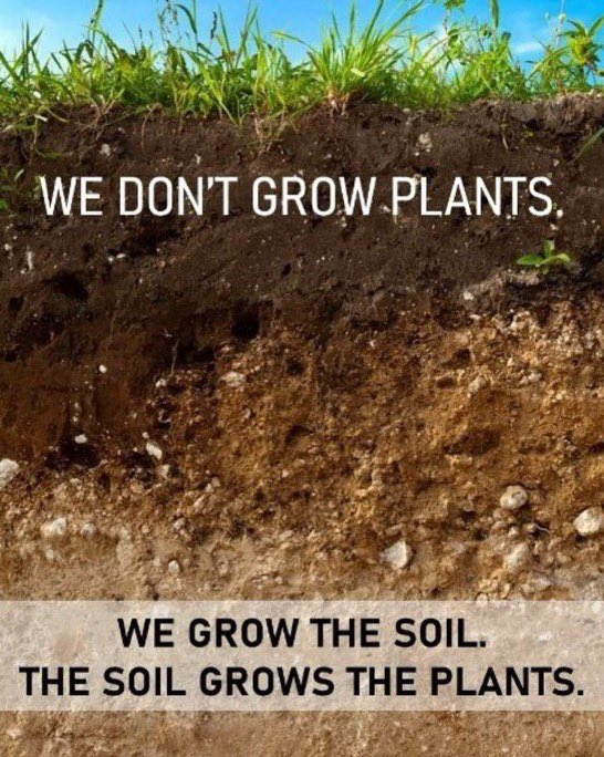BeanoBaby55's tweet photo. Soil extinction is not just another ecological challenge ... it is an existential threat. If we act NOW to #SaveSoil we can turn this situation around in the next 15-25 years. #MiddleEastStandsForSoil #SaveSoilAtCOP15 @SadhguruJV #ConsciousPlanet https://t.co/VyTrS3AM70