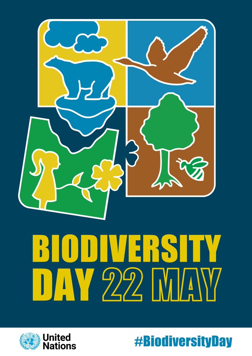 CECweb's tweet photo. #BiodiversityDay is on 22 May! Happy International Day for #Biodiversity!
🌳🍄🦊🐥🐬 🐢
This year’s theme encourages us all to ‘build a shared future for all life on Earth  

But what exactly can YOU do? Take action w/ @UNBiodiversity: https://t.co/2DDmQhPU0k https://t.co/yf2KMIfqEC