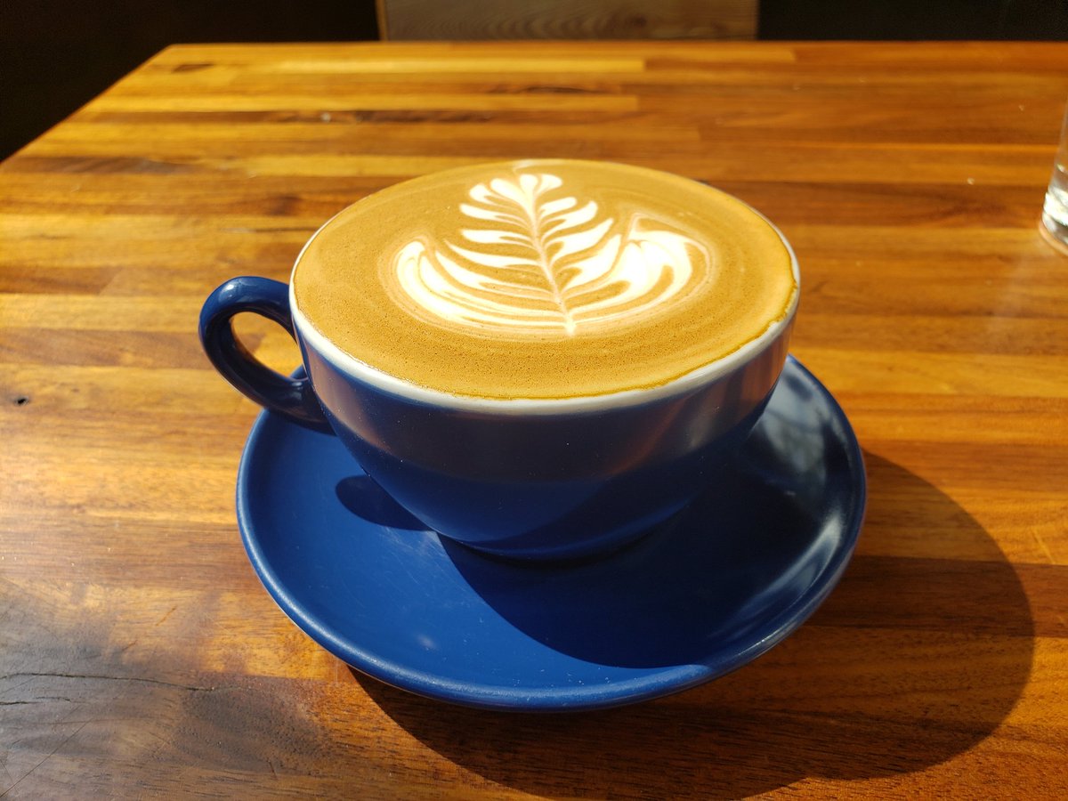 Payal Yokota tweet media