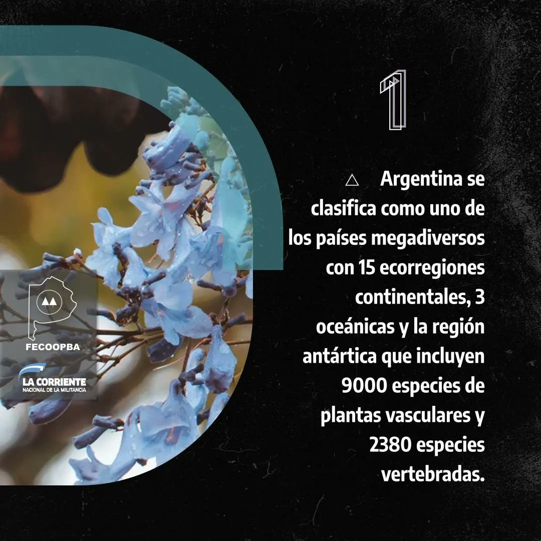fecoopba's tweet photo. HOY EN....
👩‍💻Datos, No Opinion!!
 
🗓️22 de Mayo #díadelabiodiversidad 🌱🐴 https://t.co/Hwy2HoftdL