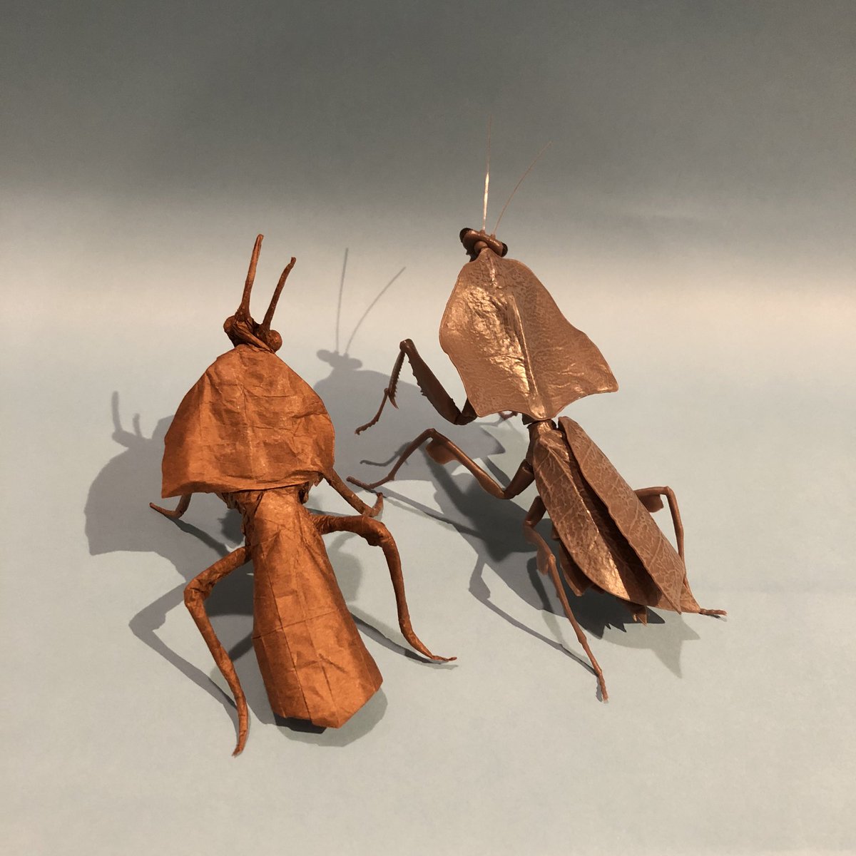 eichi_origami's tweet photo. Dead leaf mantis
Designed and folded by me 
May 14, 2022

マルムネカレハカマキリ
自身の創作

ガチャでカレハカマキリがあたったのがきっかけで、折りました。

#deadleafmantis #カレハカマキリ 
#origami #折り紙 https://t.co/9o56fPH0wj