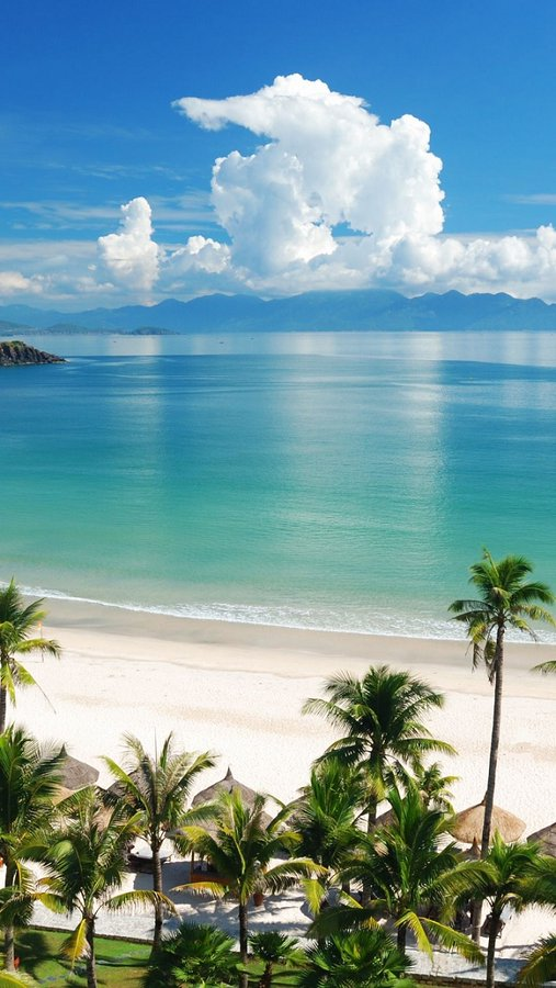 Travitinerary's tweet photo. B.E.A.C.H.🏖️ Best Escape Anyone Can Have 🌴🌞 https://t.co/p2d3HfXqQy