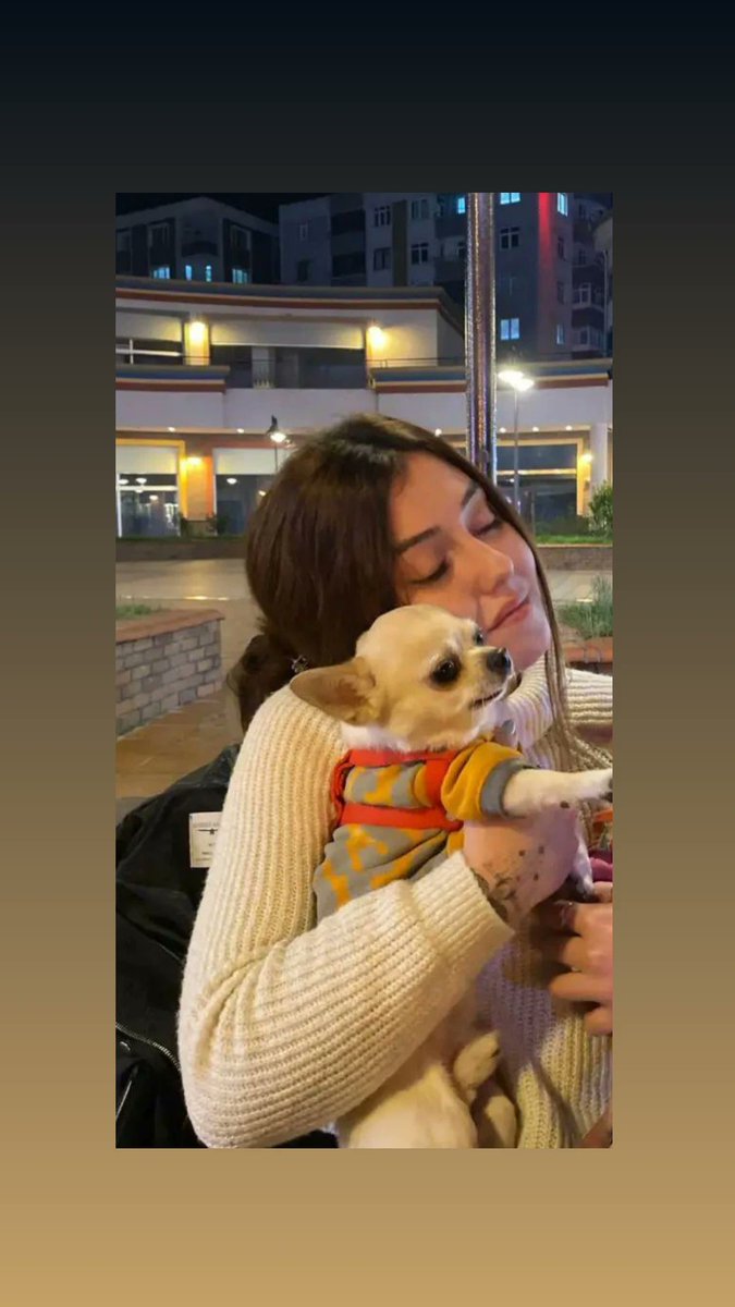 Bugün tam 13 gün oldu. Köpeğimi çalan şahıslar belli zaman geçtikçe köpeğime napicaklar belli değil ben neyi bekliyorum? Siz neyi bekliyprsunuz?? <a href="/CarsambaEmniyet/">ÇarşambaİlçeEmniyet</a> 
<a href="/samsun_barosu/">Samsun Barosu Başkanlığı</a> <a href="/samsunbsb/">Samsun Büyükşehir Belediyesi</a> <a href="/TCSamsunValilik/">T.C. Samsun Valiliği</a>