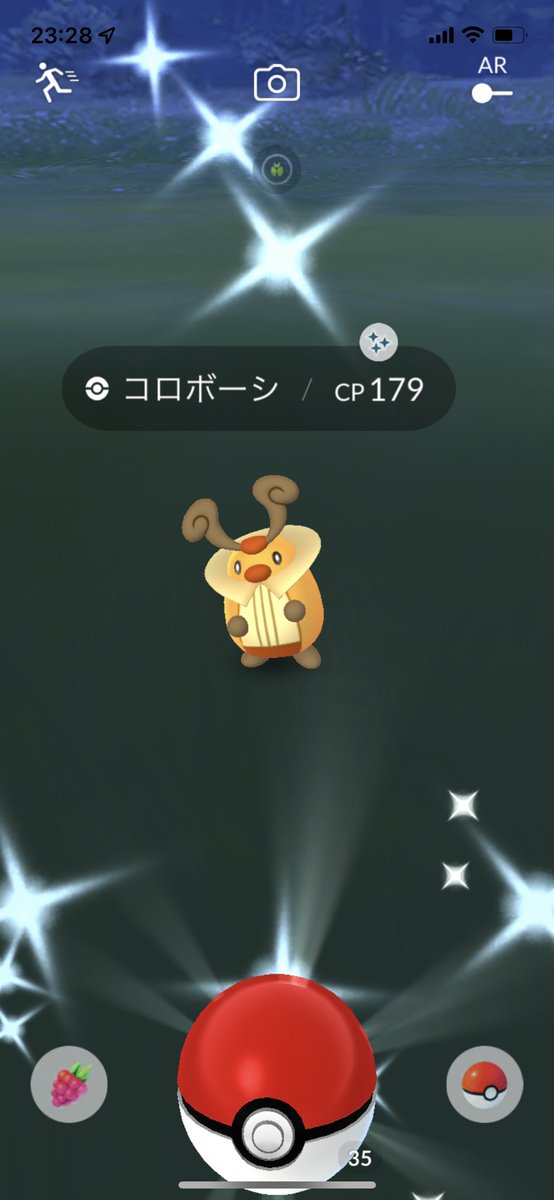 ポケモンgo コロボーシの色違い 入手方法と実装状況 攻略大百科 ポケモンgo コロボーシの色違い 入手方法と実装状況 攻略大百科