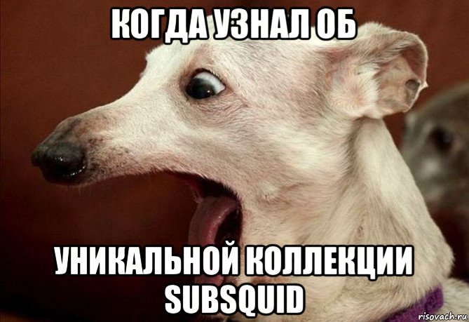 #Subsquid.
@Subsquid
