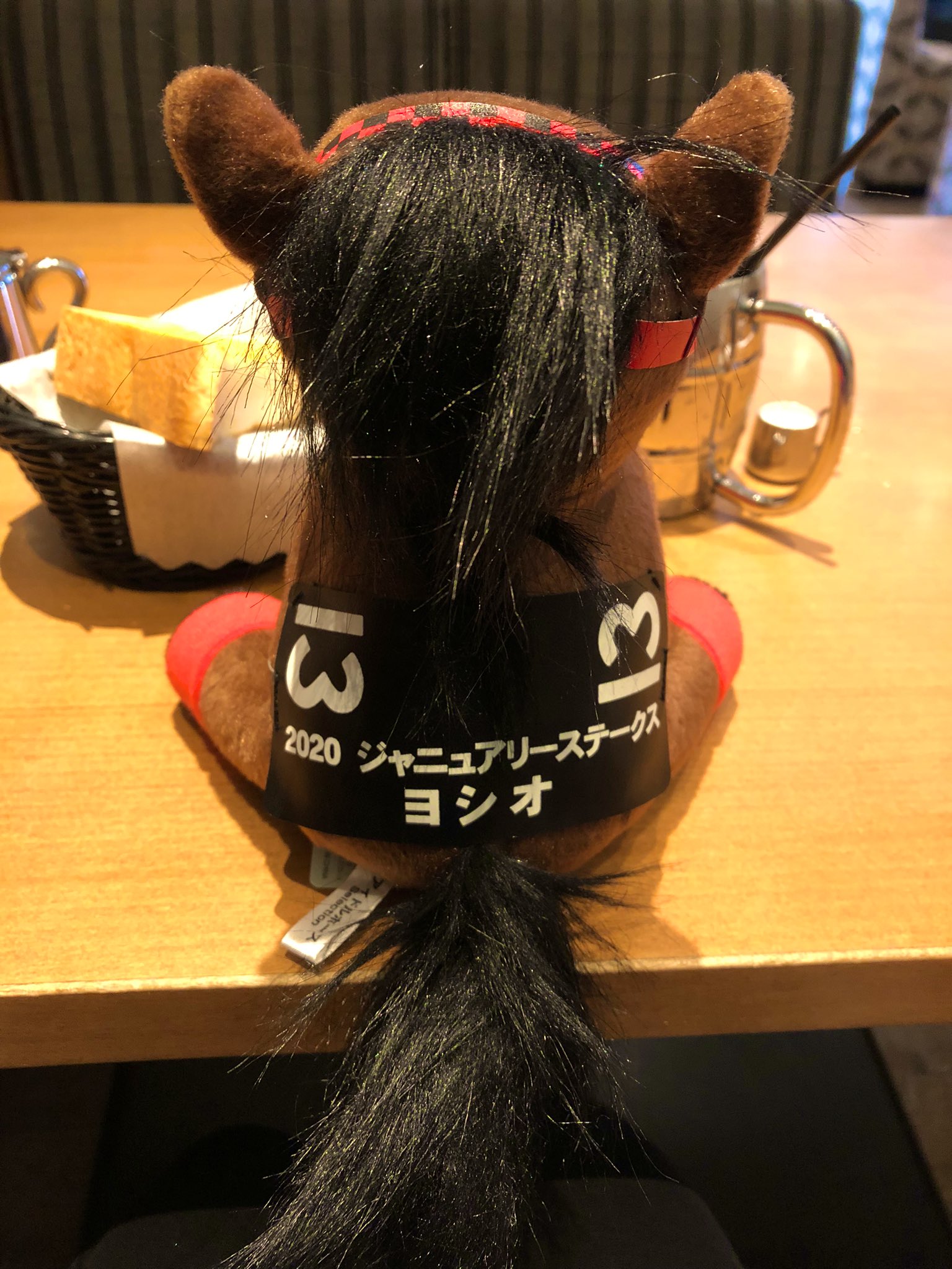 紙兎ma Yu マユ 唄うウマ娘 今朝のヨシオ 馬 乗馬 乗馬女子 ヨシオ 引退 引退馬 アイドルホース ぬいぐるみ T Co Iimqbggyou Twitter