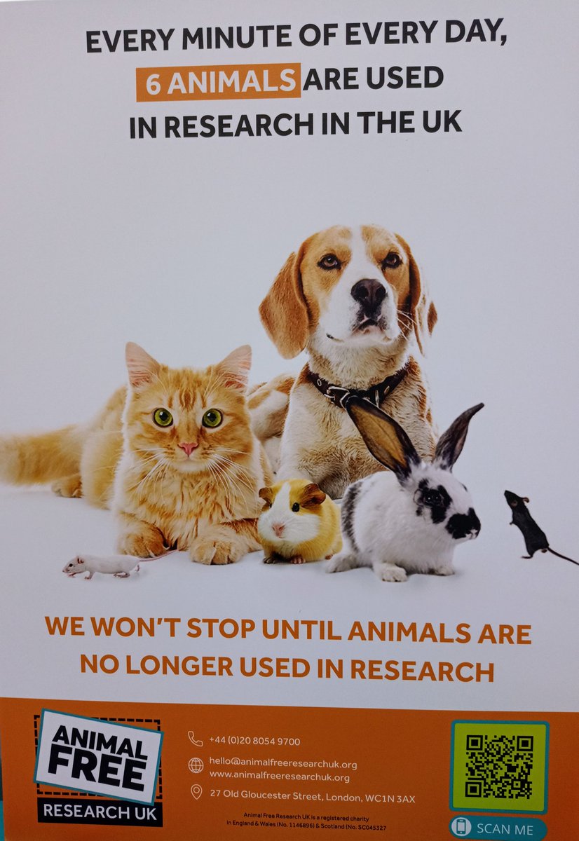 StephJonesGile1's tweet photo. All set up at Bude Morrisons 😍 at the start of World Animal Free Research Awareness Week #unitedforakinderscience @AFR_UK @miRNAgirl @budeandbeyond #bigupbude https://t.co/IJHILPPpQq
