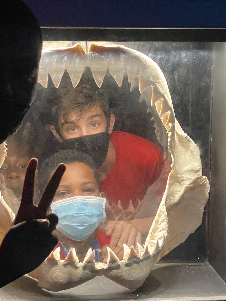 SACSOrlando's tweet photo. 6th grade field trip fun at SeaWorld! https://t.co/bdAlj1E4wm