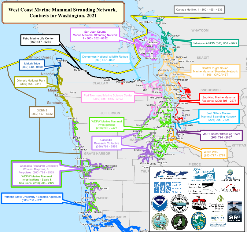 Marine Mammal Stranding Network