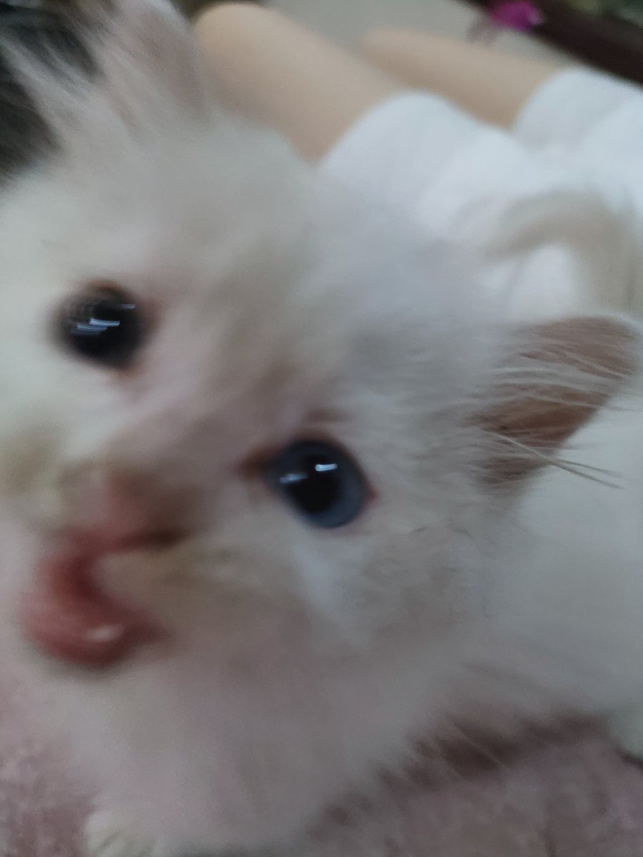 Vanity12138's tweet photo. 🥰 https://t.co/7DrXZVumKD
