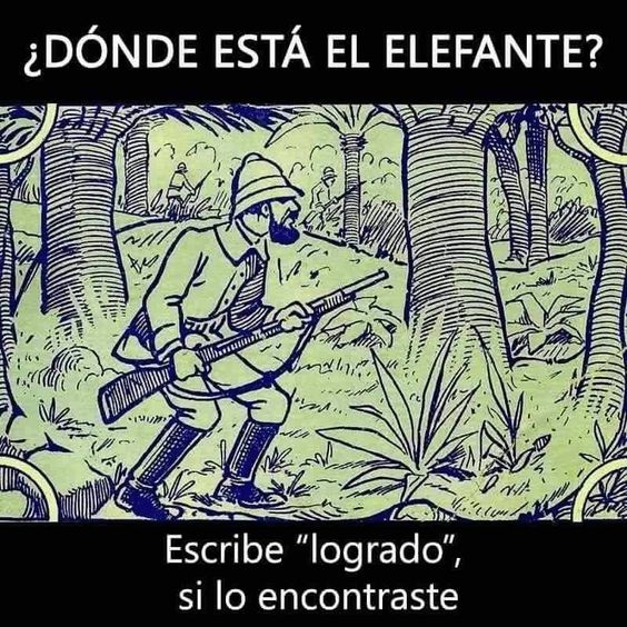 🔴 ESPACIO tweet media