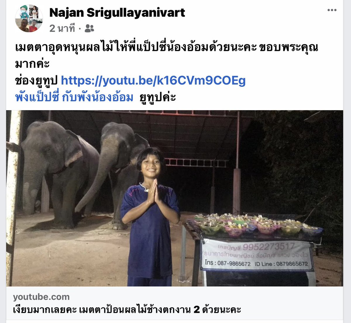 KaaPartar's tweet photo. เมตตาช่วยช่องช้างเล็ก ๆ หาค่าหญ้า ค่าสัปปะรดด้วยค่ะ ขอบพระคุณมากมายค่ะ แท็กรบกวนต้องขอโทษด้วยนะคะ ติดต่อผ่านแอคนี้ได้ค่ะ @Aom_pepsi 
#วิกฤตช้างไทย  #วิกฤติช้างไทย #ช้างตกงาน #เป๊กผลิตโชค https://t.co/PiYPD4k5dn