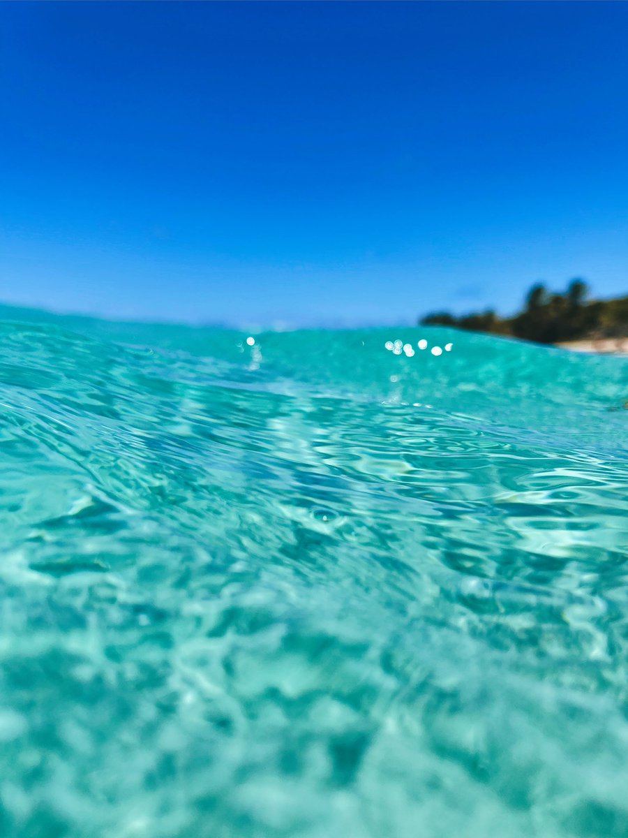 AventureandoP's tweet photo. Domingo de aguas claras🌊💦🇵🇷 #gottrip⁉️
📍Zoni Beach, Culebra #puertorico 
📸: @jancmatos 

#aventureandopr #ecotours #isladelencanto #roadtrip #culebra #turismo #caribbean #playa #sol #beachlife #islandvibes #visitpuertorico #vacation #photography #naturephotography https://t.co/FXjqbERJc9