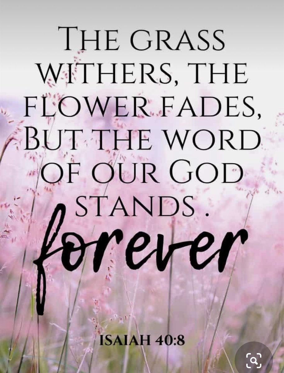 Patty Diener (@eastcoastluvr) on Twitter photo 