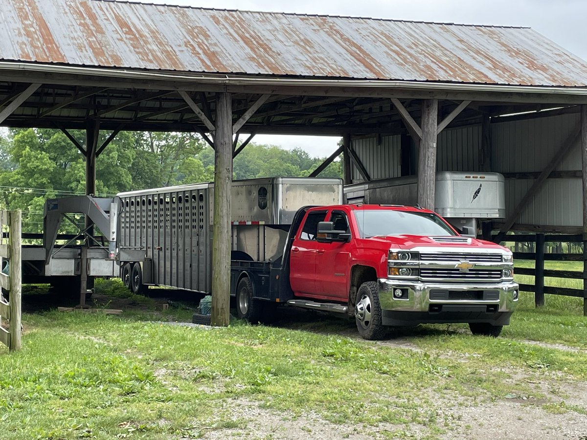 Bob_at_Alltech's tweet photo. Angus and red Angus show heifers in a barn also used for drying tobacco. Great tour of the Kentucky countryside #AlltechONE #alltecheurope https://t.co/yHFoudrtJB