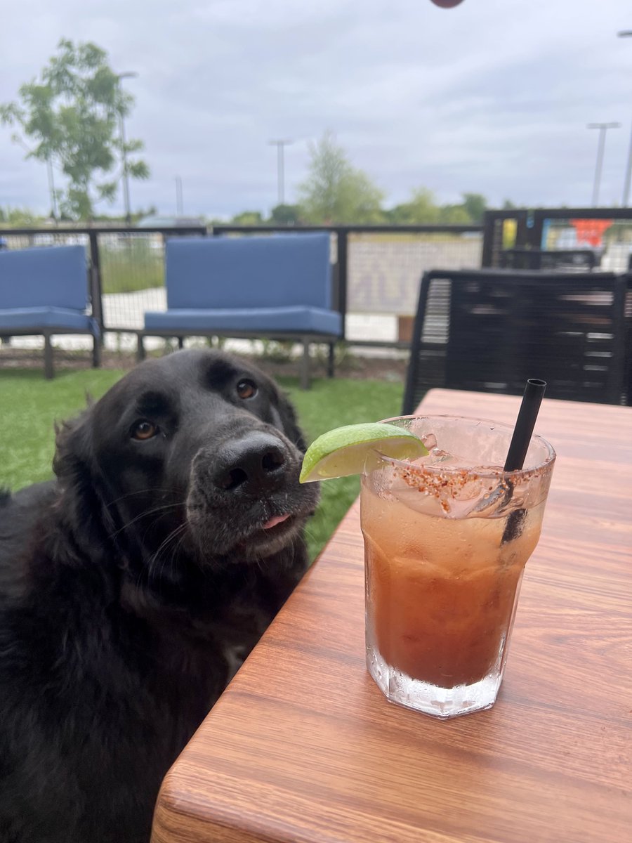 MarkTagway's tweet photo. Me too, buddy. Me too. https://t.co/A6O98giq6k