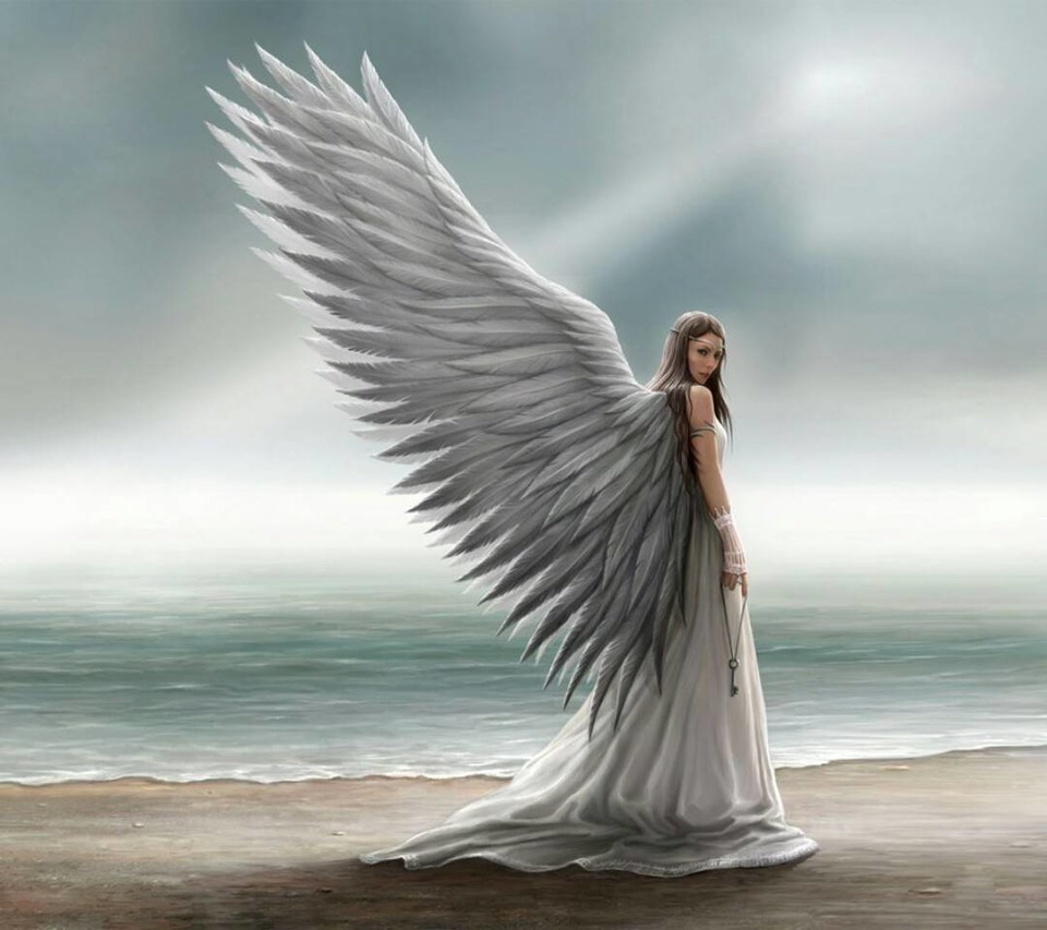 DaviesWriter's tweet photo. โUse the wings of the flying Universe,
Dream with open eyes;
See in darkness.โ
โ Dejan Stojanovic
#amwriting #books #dreaming #writing #booklovers #IndieWriters #BeWriting #quotes #Art https://t.co/C1rSwz7QAj