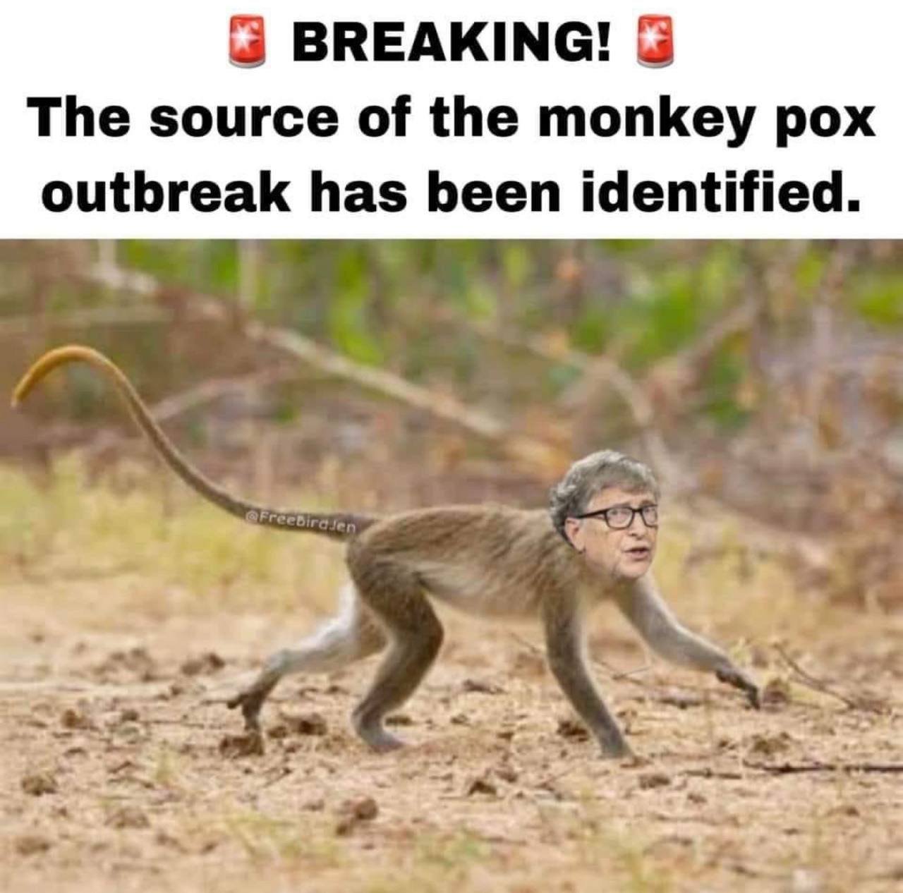 Monkeypox Memes That Will Make You Howl(er Monkey)