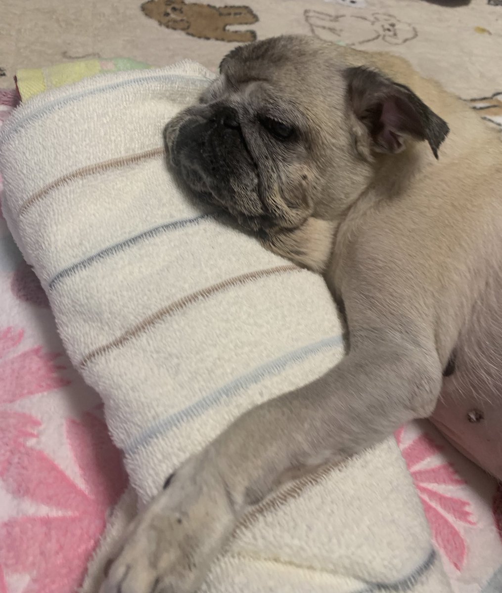 一緒に居れなくなると思うと怖くて
居なくなってしまった時、自分どうなるんだろう。