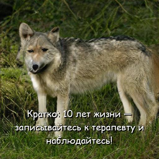 база