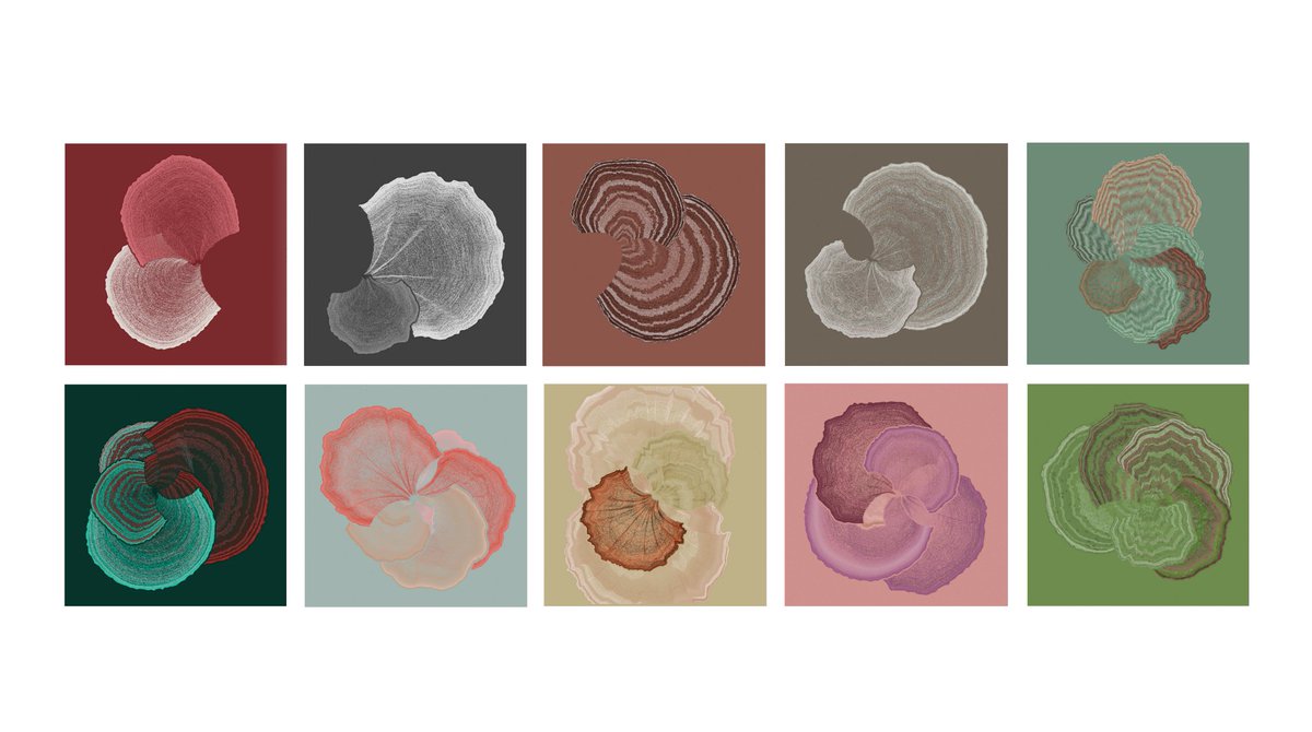 phyeion's tweet photo. I am now happy to have one piece from each color palette from the mesmerizing #Padina collection by @pawelgrzelakvis at #fxhash: palettes 1 - 10 from top to the right. I will share why I like this so much in the coming days. Welcome to the Padina fan club! https://t.co/xRuuuOBlCK https://t.co/ZwmXsuli9z