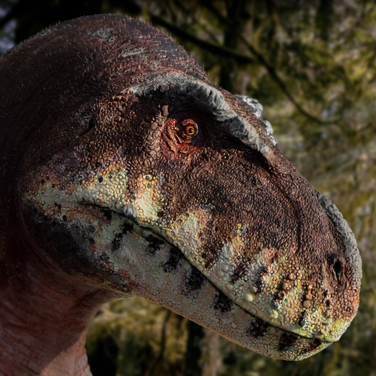 Hi Hank!!! Im so excited for #prehistoricplanet I had to make this beautiful #Tyrannosaurusrex

#trex #dinosaursculpture #dinosaurmodel #dinosaurios #dinosaurio #dinosaur #dinosaurs #dinosaursofinstagram #paleoarte #paleoart #animalsculpture #palaeoart #sculpting #paleosculpture