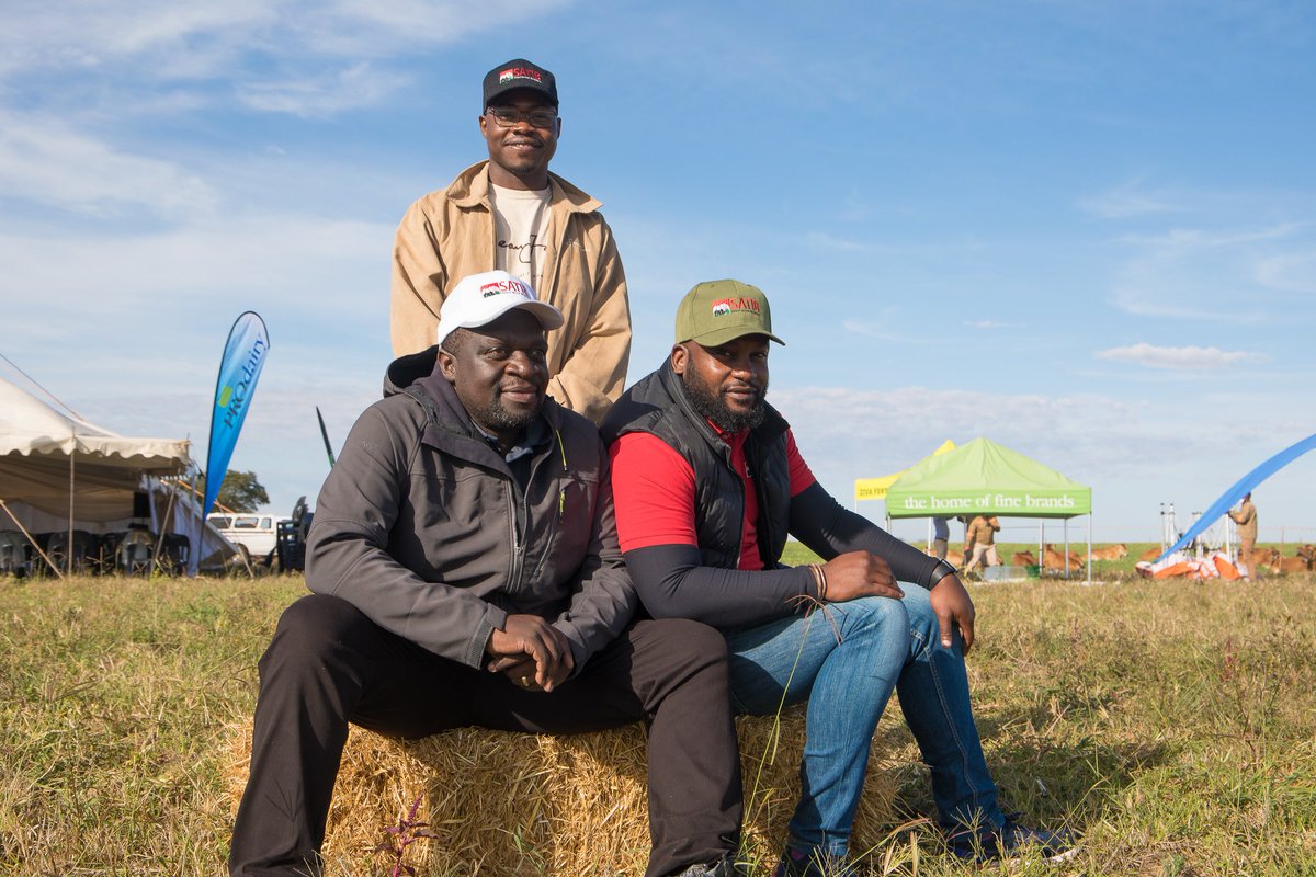 Mafuro Farming tweet media