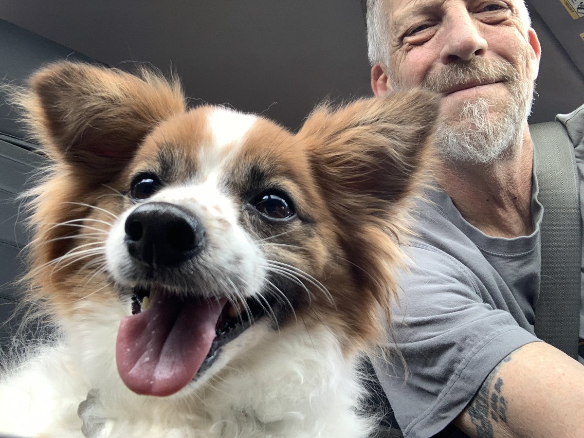 dcwingate's tweet photo. So I Did A Thing ๐พ๐พ๐คฆโโ๏ธ
Lenny was rescued at the age of 3.
Returned 9 years later,named Bandit
Apparently snapped at the new pup.
Meet- Benny(Ben) newest crew member of the #GrayFaceMafia ๐พ
#DogsofTwittter #AdoptDontShop #RescueSeniors #RIPDallas
#RecoveryByAdoption ๐พ๐พ๐
https://t.co/fhEvgsu2tr