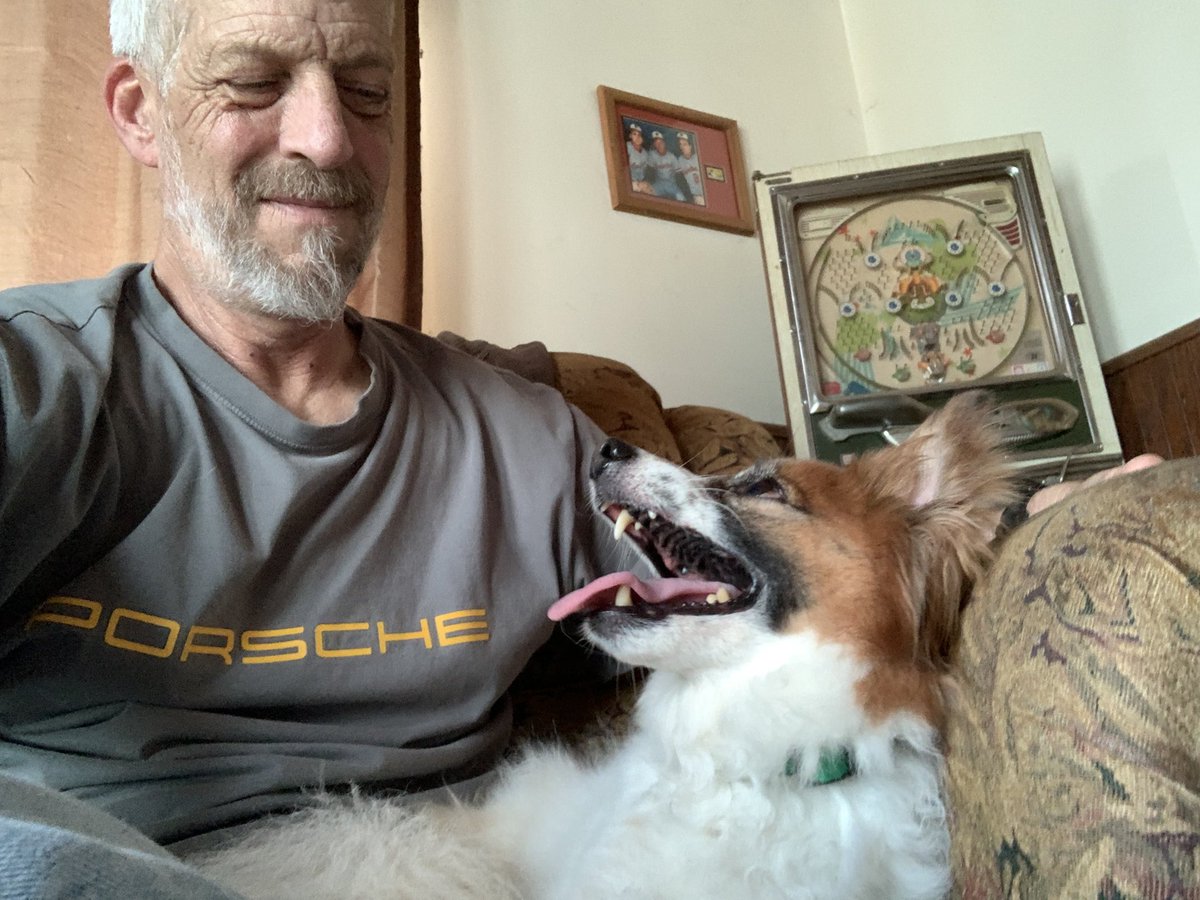 dcwingate's tweet photo. So I Did A Thing ๐พ๐พ๐คฆโโ๏ธ
Lenny was rescued at the age of 3.
Returned 9 years later,named Bandit
Apparently snapped at the new pup.
Meet- Benny(Ben) newest crew member of the #GrayFaceMafia ๐พ
#DogsofTwittter #AdoptDontShop #RescueSeniors #RIPDallas
#RecoveryByAdoption ๐พ๐พ๐
https://t.co/fhEvgsu2tr