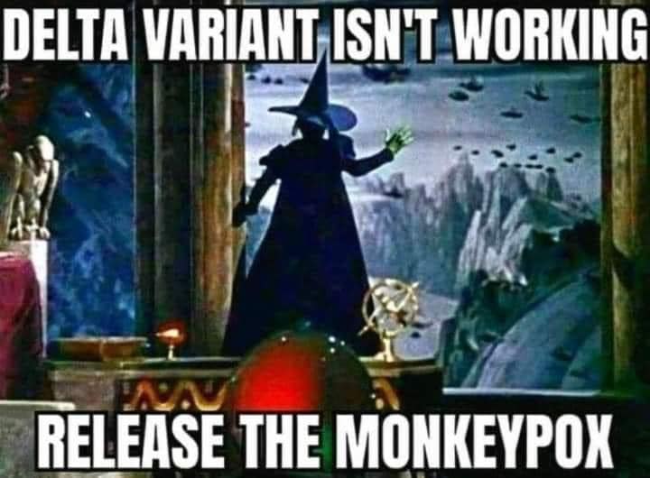 JudsonPerry's tweet image. 