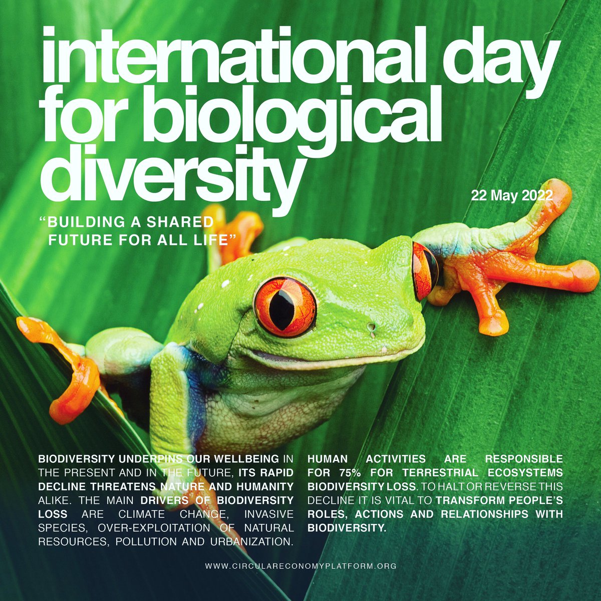 Biodiversity underpins our wellbeing, its rapid decline threatens out existence through climate change, over-exploitation of natural resources, pollution and urbanization. To reverse this decline we need to transform humanity’s relationship with biodiversity. #BiodiversityDay2022