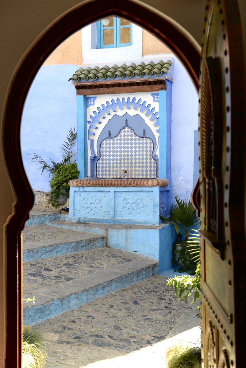 inipr's tweet photo. Lo importante es no aferrarse a las puertas que se cierran, sino encontrar la belleza en las que se abren. https://t.co/uO6FvLLtTC