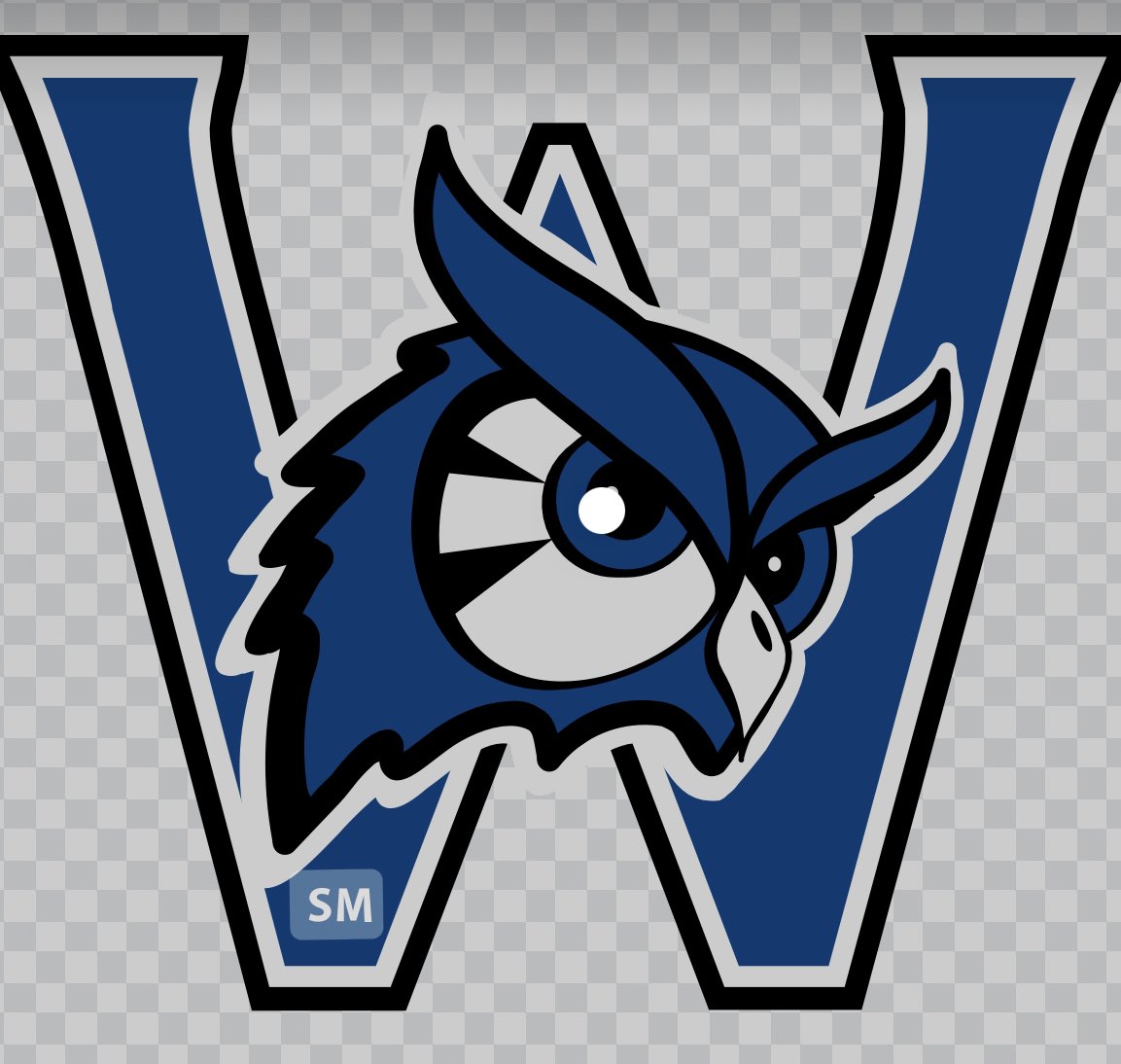 Blessed to receive my first division III from Westfield state <a href="/QBCoachGuy1/">QBCoachGuy</a> <a href="/Coach_EhornJr/">Chris Ehorn Jr</a> <a href="/CoachMartinESA/">Coach Martin</a> <a href="/coachwatson413/">William Watson</a> <a href="/1Coachko/">Pete Kowalski</a> <a href="/ESAofNewEngland/">Excel Sports Academy of New England</a>