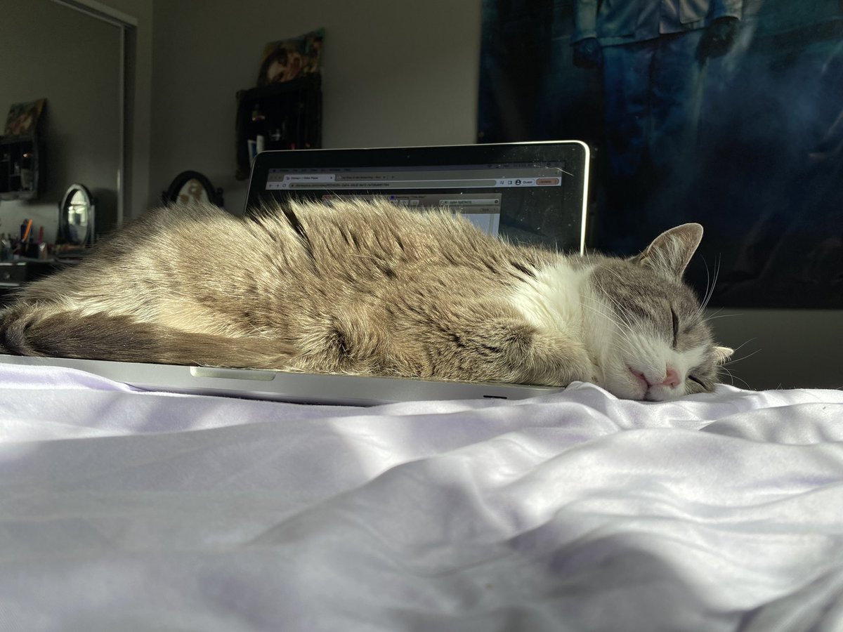 Sick for like 5 days straight, and I’m feeling better now thanks to PJ, although she might have deleted something sleeping on my laptop