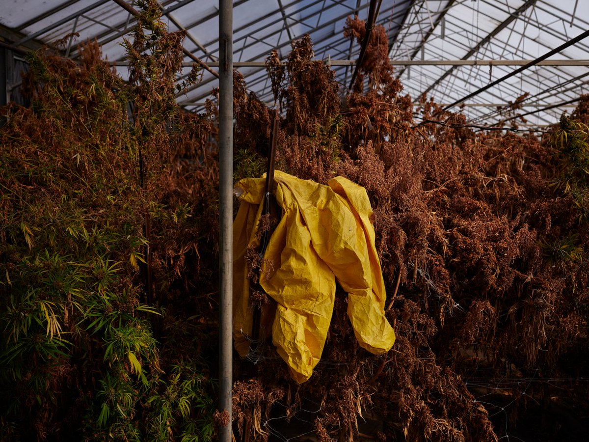 CENTERSantaFe's tweet photo. Congratulations to the 2022 Launch Grant recipient David Walter Banks whose work “Practice Resurrection” was selected by Juror Grace Deveney from the @artinstitutechi. Learn more online – https://t.co/UxlbJJWJJs
Images © #DavidWalterBanks
#PhotographyGrant #LaunchGrant https://t.co/TWqIY782Qx