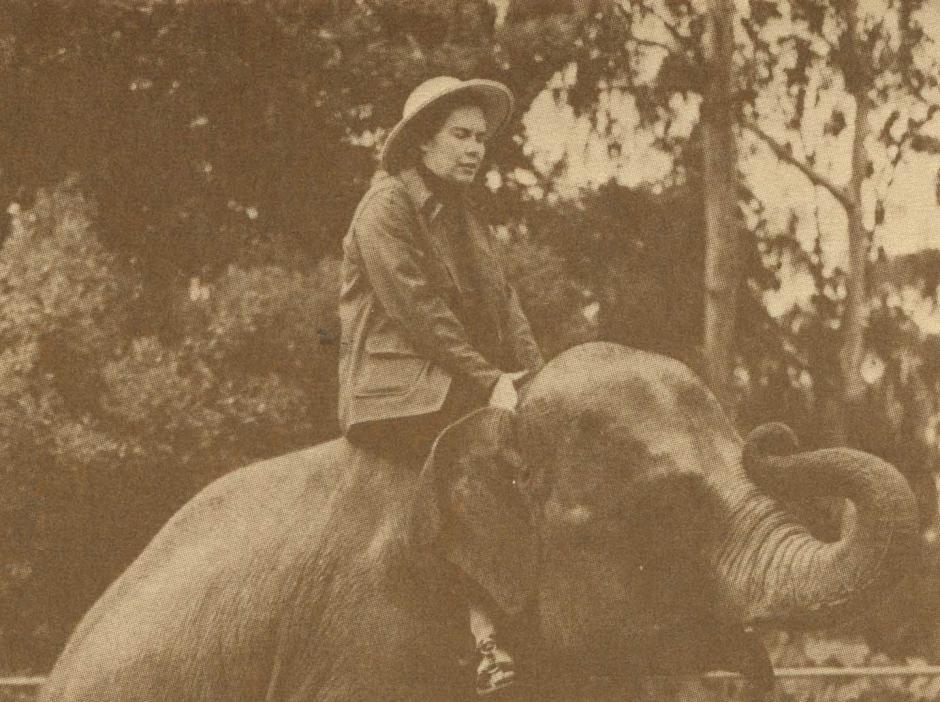 On May 30, 2022 -- in just 7 days! -- we begin our year-long celebration of Pauline Oliveros, and the community of listeners she inspired, with the first of 365 scores for deepening our daily listening... Stay tuned!