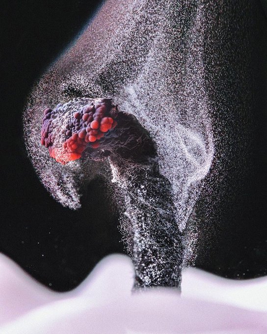 Smoke is unburned particles of carbon released when the hydrocarbon chain of candle wax breaks down. Instagram channel macrofying shot this photo from a video showing the smoke of a candle after blowing it out [video + photos and more: buff.ly/3sv4Hov]