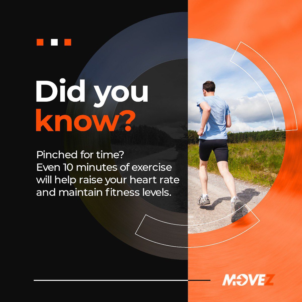 MoveZ tweet media