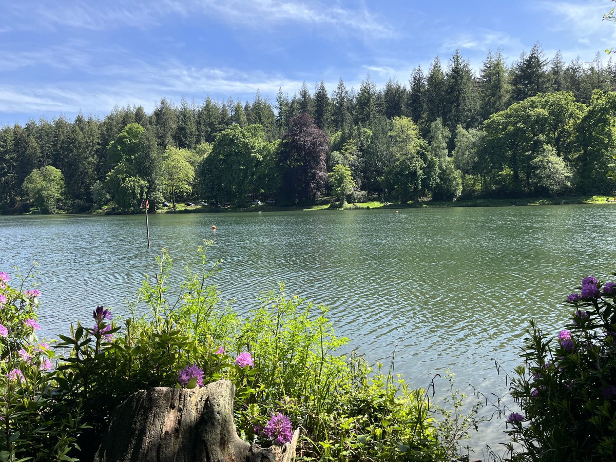 Beautiful Shearwater today ☀️