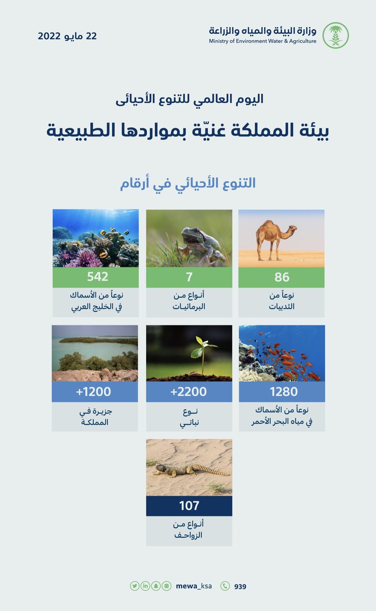 تتمتع بيئة المملكة بموارد طبيعية غنية، تعرّف على التنوع الأحيائي في بيئتا بالأرقام.

#اليوم_العالمي_للتنوع_الأحيائي