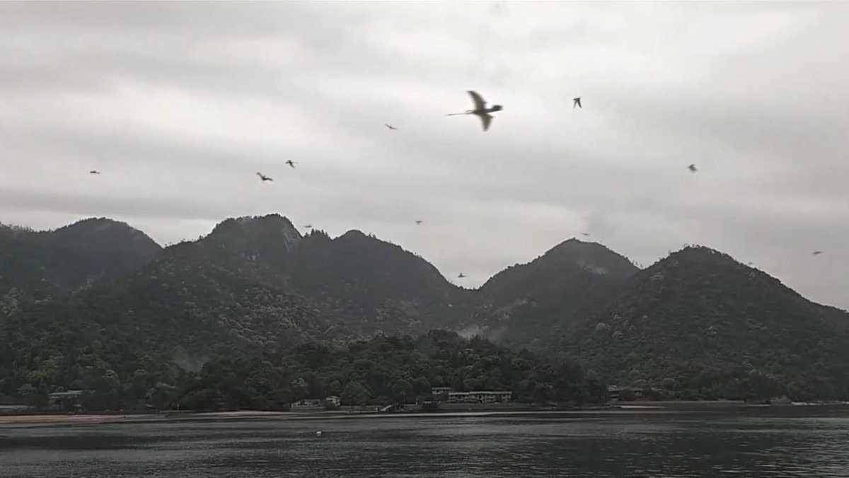 Dinotracker tweet media