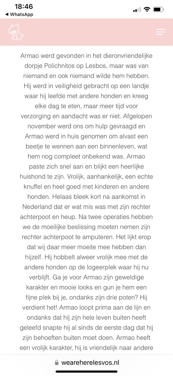 Antoinnette Scheulderman tweet media